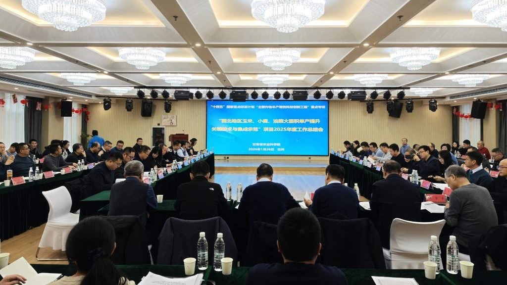 聚焦丰产增效  共谋技术集成   国家重点研发计划项目年度总结会在省农科院顺利举办
