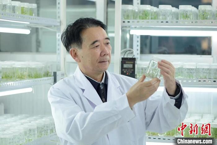 内部绝密信封料39