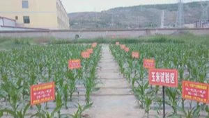 内部绝密信封料39