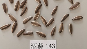 内部绝密信封料39