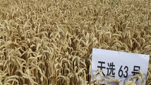 内部绝密信封料39