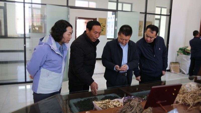 院党委书记刘国汉一行到积石山县督导我院助力积石山春耕工作