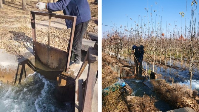 张掖试验站（场）全面开展冬灌工作