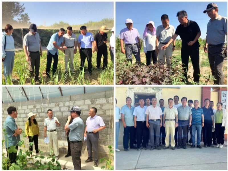 党委书记刘国汉赴河西院属试验站（场）及酒泉市农科院和涉农企业调研