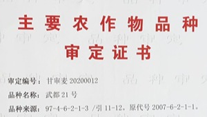 内部绝密信封料39
