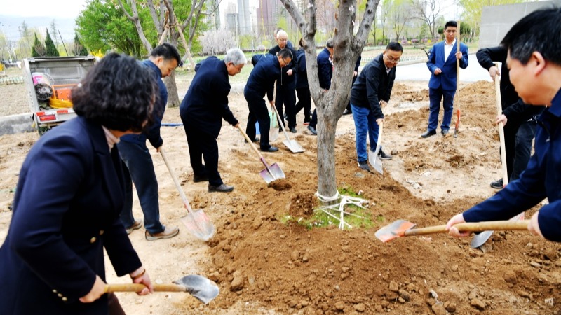 我院开展新春义务植树活动