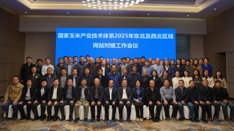 国家玉米产业技术体系2025年东北及西北区域岗站对接工作会议在兰州召开