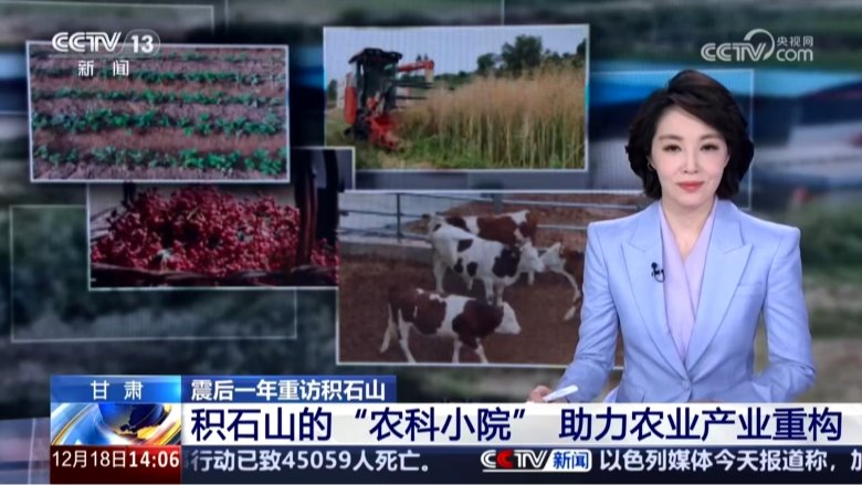 中央电视台新闻频道（CCTV 13）专题报道我院助力积石山农业产业重构工作成效