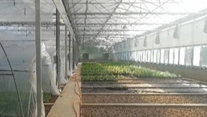 内部绝密信封料39