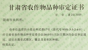 内部绝密信封料39