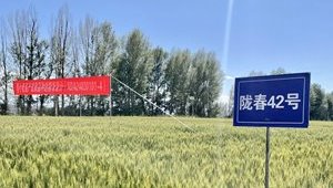 内部绝密信封料39