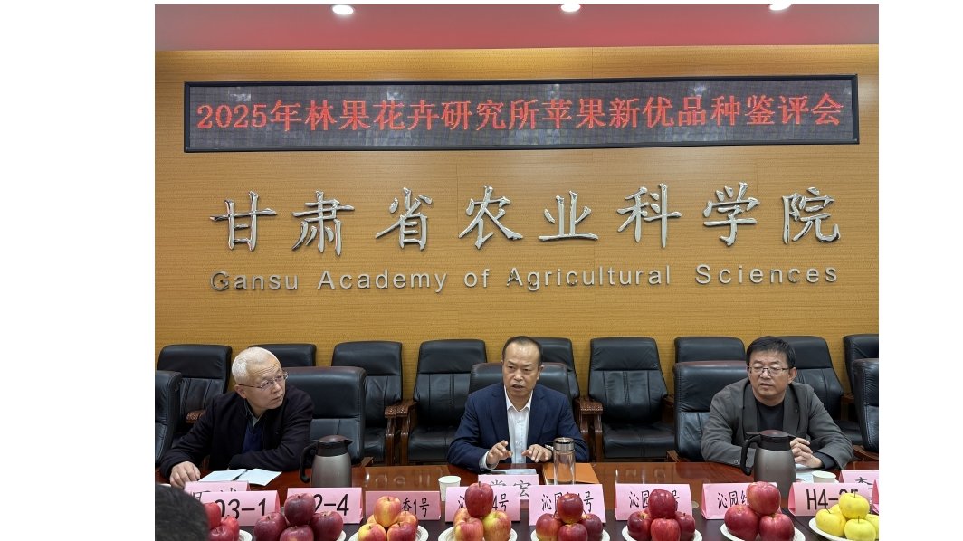 科技赋能“甘味”——林果花卉研究所苹果新优品种鉴评会成果丰硕