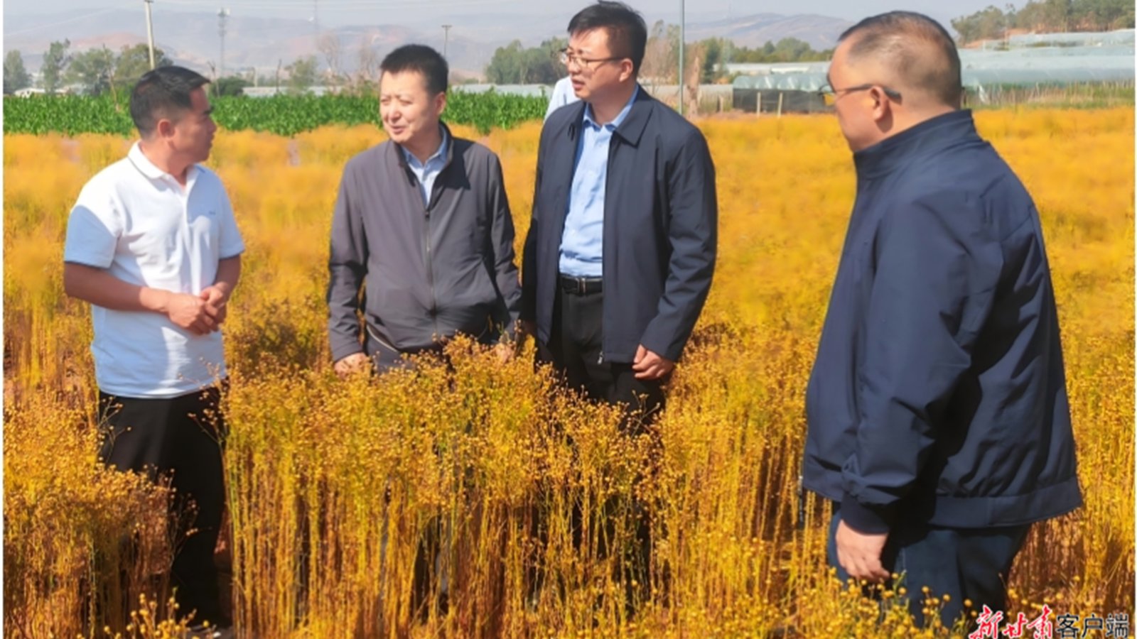 【新甘肃】【代表委员履职故事】刘国汉委员：深耕寒旱沃土 为粮安种业振兴尽责