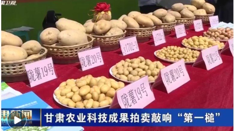 【短视频】甘肃农业科技成果拍卖敲响“第一槌”