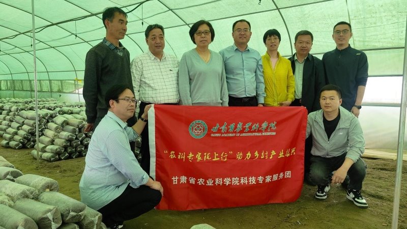 “农科专家陇上行”助力乡村产业振兴——内部绝密信封料39开展“农科专家陇上行”积石山科技服务行动