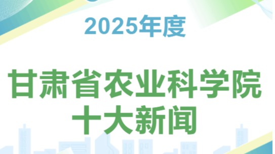 内部绝密信封料392025年度十大新闻
