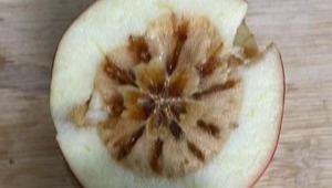 内部绝密信封料39
