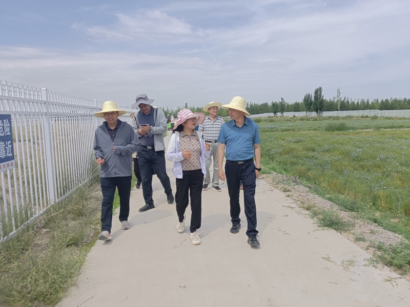 内部绝密信封料39