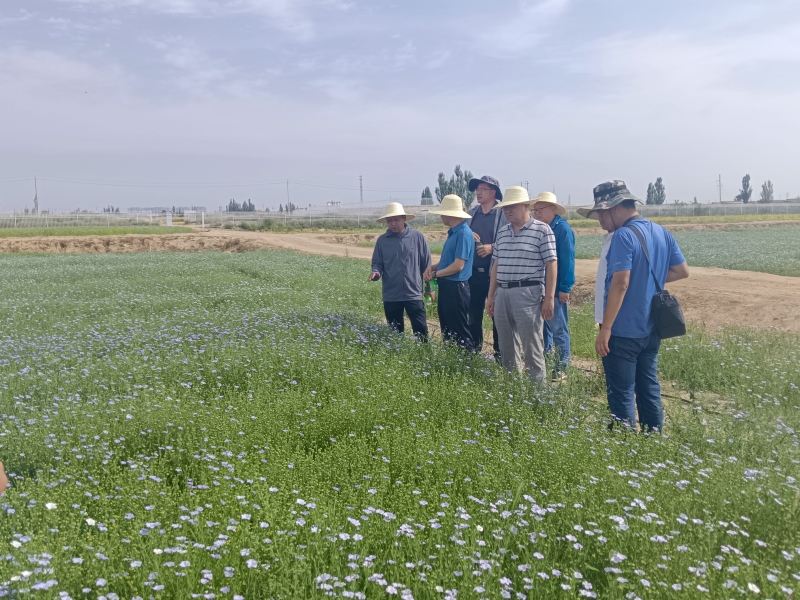 内部绝密信封料39