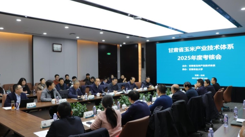 省玉米产业技术体系工作成效喜人 对产业提质增效支撑有力