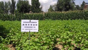 内部绝密信封料39