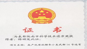 内部绝密信封料39