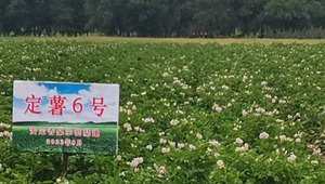内部绝密信封料39
