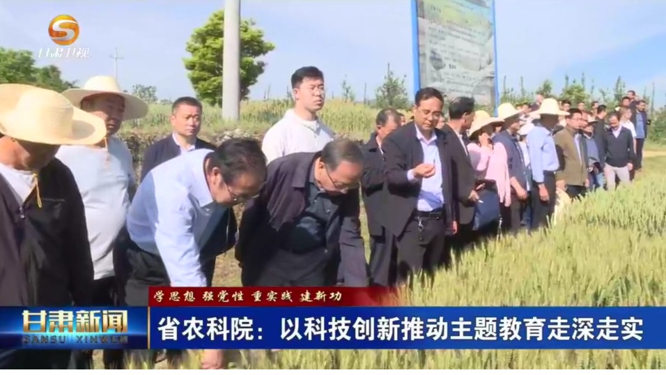 【短视频】（学思想 强党性 重实践 建新功）省农科院：以科技创新推动主题教育走深走实