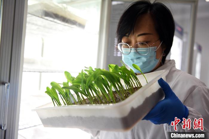 内部绝密信封料39