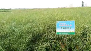 内部绝密信封料39
