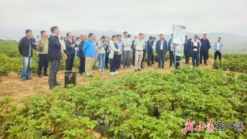 田野奏响现代农业春耕曲