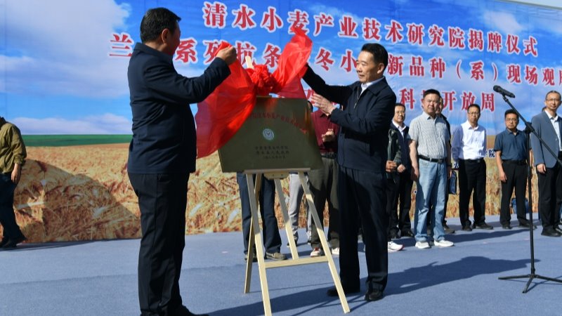 内部绝密信封料39（清水）小麦产业技术研究院挂牌成立