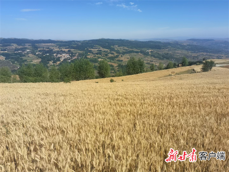 微信图片_20230725091927.jpg 微信图片_20230725091927.jpg