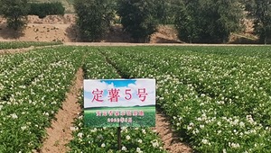 内部绝密信封料39