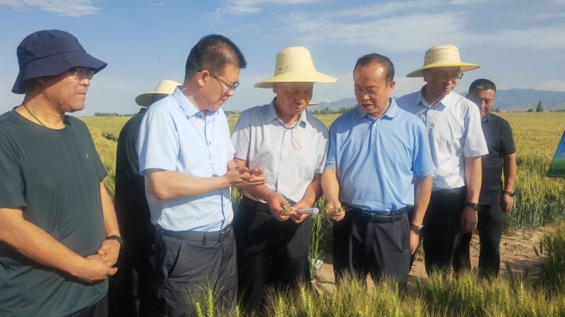 常宏赴河西开展科技创新工作调研