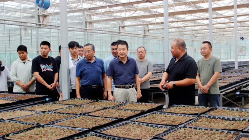 刘国汉到张掖试验站（场）检查指导工作