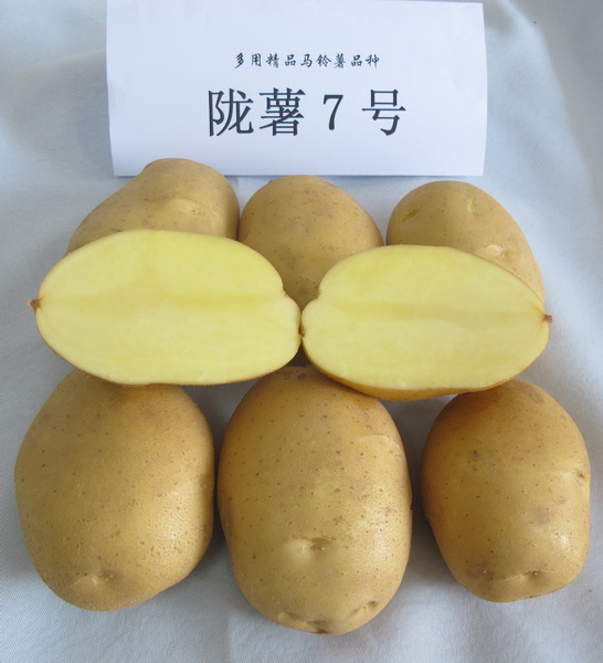 内部绝密信封料39
