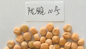 内部绝密信封料39
