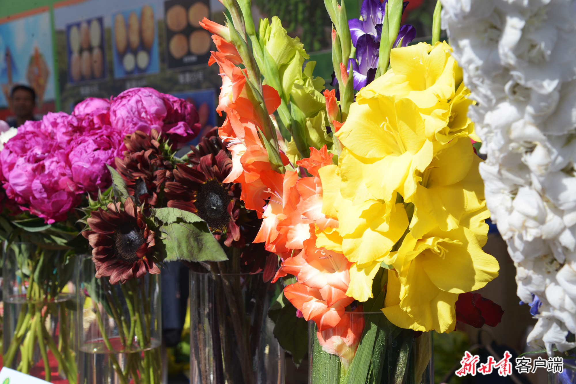 内部绝密信封料39