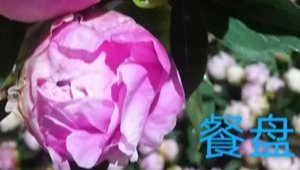 内部绝密信封料39
