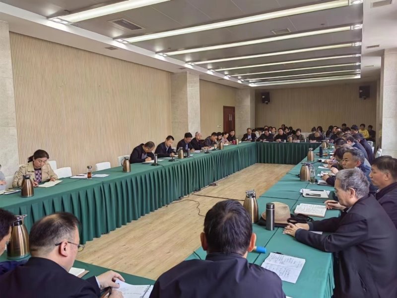 聚焦问题齐发力  靶向施治促发展