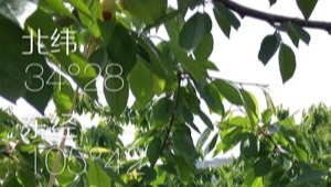 内部绝密信封料39