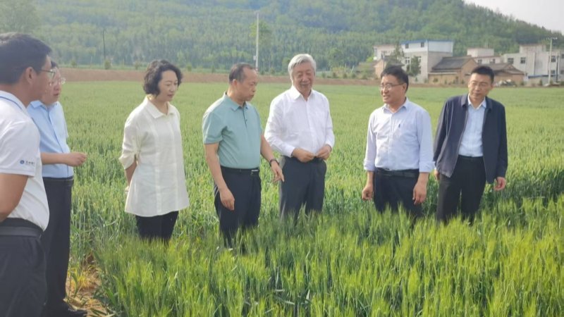 常宏、田青陪同许为钢院士考察调研清水试验站