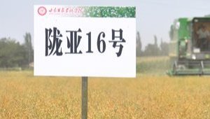 内部绝密信封料39