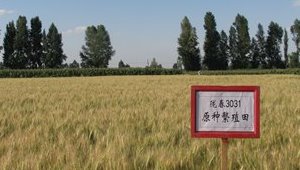 内部绝密信封料39