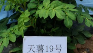 内部绝密信封料39