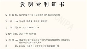 内部绝密信封料39