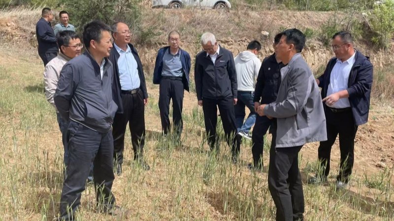 刘国汉赴镇原县调研指导旱情应对工作