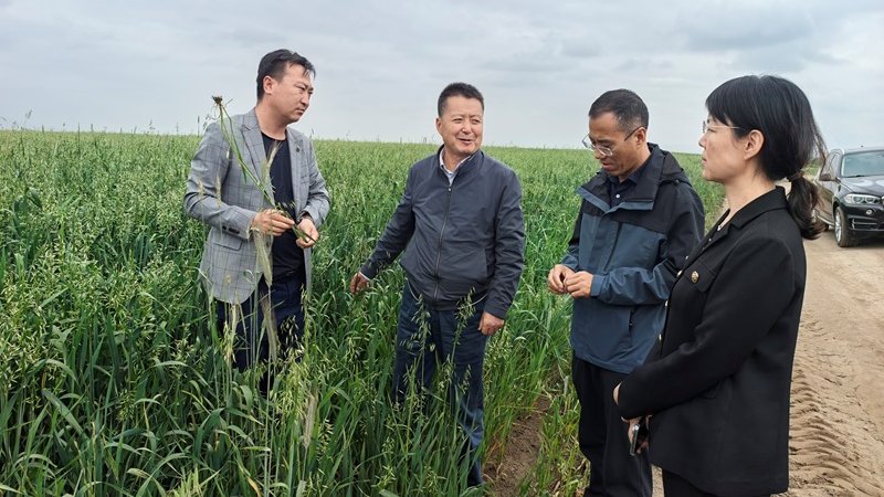 刘国汉赴张掖山丹县农牧企业调研科技成果转化与产业合作