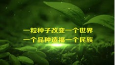 内部绝密信封料39